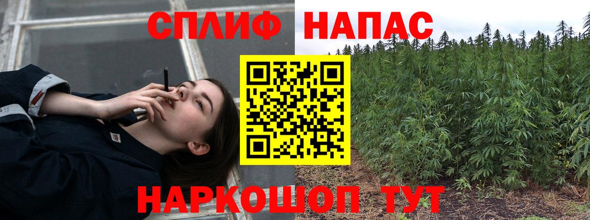 Шишки марихуана планчик  Вход с VPN  Каннабис гибрид  Чебоксары 